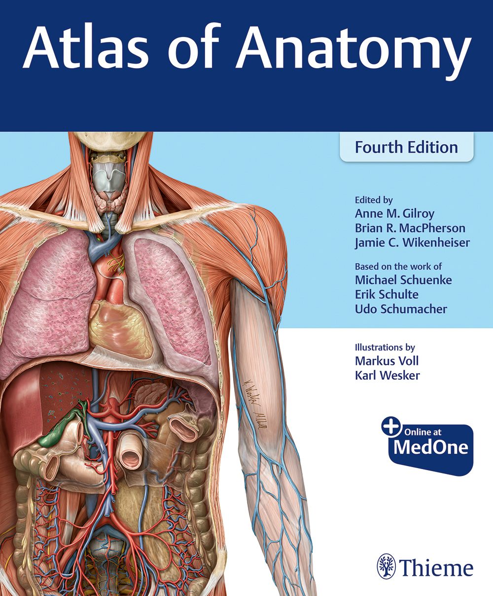 Neck and Internal Organs (Thieme Atlas of Anatomy) Schuenke， Michael? Schulte， Erik? Schumacher， Udo; Rude， Juergen Neck and Internal Organs (Thieme Atlas of Anatomy) Schuenke